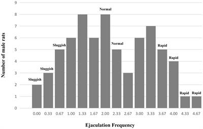 Frontiers BGIG10116 34868 A Newly Discovered Gene Regulating